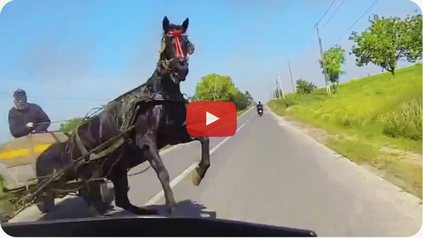 Socant!!! O motociclista si-a vazut moartea cu ochii!! INCREDIBIL!